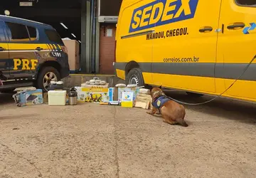 PRF e Correios realizam operação na Capital com auxílio de cães de faro