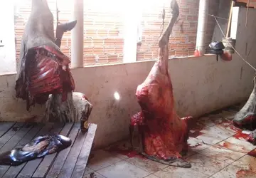 Operação prende trio por esquema de abate clandestino de animais em Paranaíba